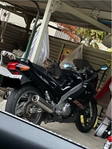 Kawasaki ZZR250  走行車