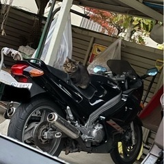 Kawasaki ZZR250  走行車