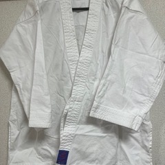 空手着/柔道着