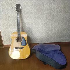 決まりました!　🎸アコースティックギター