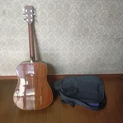 決まりました!　🎸アコースティックギターの画像