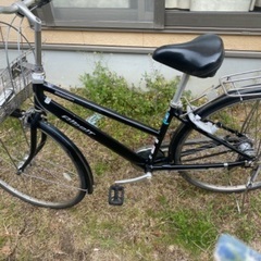 アルベルト