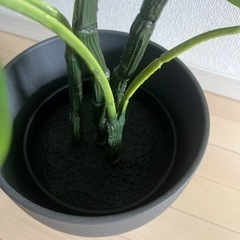 生活雑貨 家庭用品 ガーデニングの画像