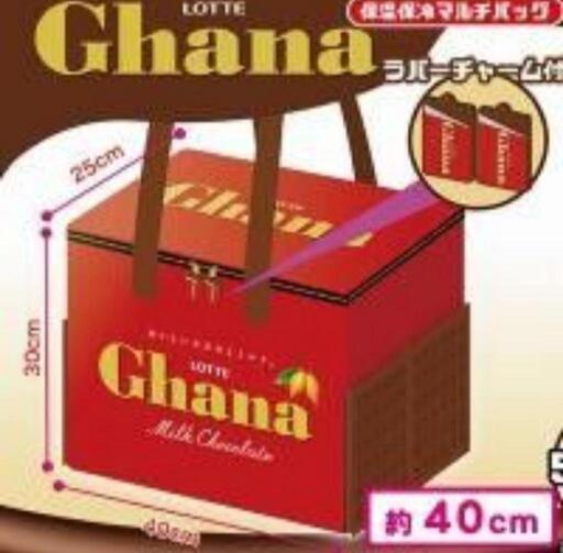 新品 保冷保温 マルチバッグ