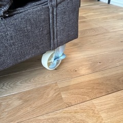 お譲り先決まりましたの画像