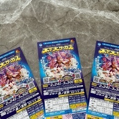 木下大サーカス　大阪公演3名様分