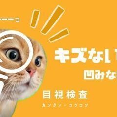 じーーーっと見るだけ目視検査のお仕事☆重いものを持たないから身体に優しい2交替作業！【土日休み】の画像