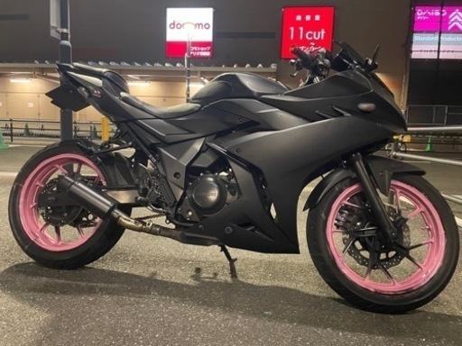 その他 GSX250R