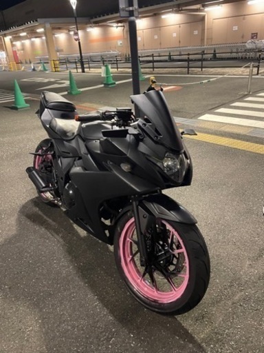 その他 GSX250R