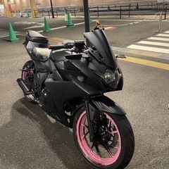 GSX250R