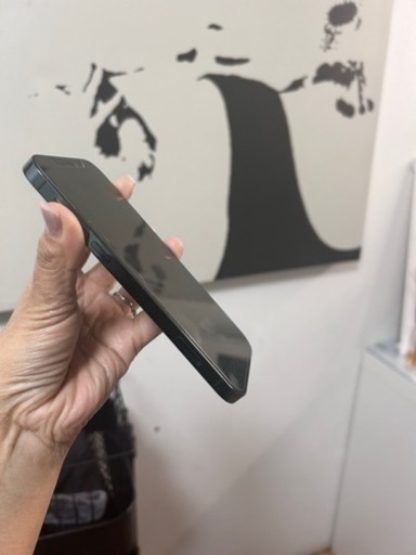携帯電話/スマホ 携帯アクセサリー