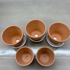 植木鉢【引き取り者様決定】