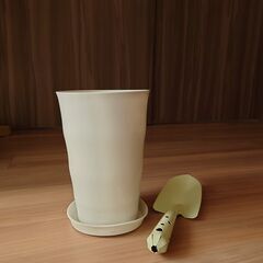 SOLD 2980円→2350円 3点セット フィカス ピーチパイン アクアテラポット シンゴニウム　ポトス　高さ17～41cm 直径10㎝鉢 白い鉢 おしゃれ 初心者安心 育てやすい 鉢植え インテリア グリーン 新生活 おまけ付きの画像