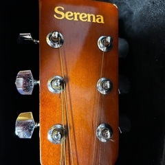 【ケース付】Serenaギターの画像