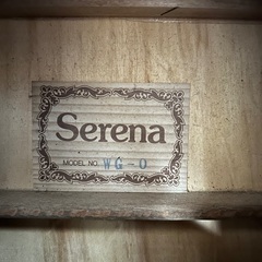 【ケース付】Serenaギターの画像