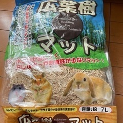 【㊗️決定】サンコー、マルカン等　ハムスター用飼育フルセットの画像