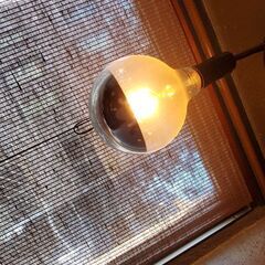 電球、照明器具などの画像
