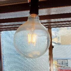 電球、照明器具など