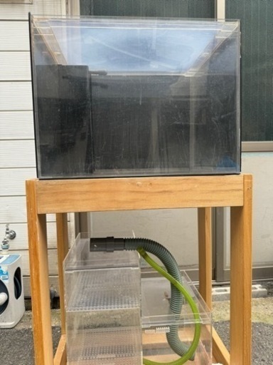 ⭐️アクリルオーバーフロー水槽取り引き中⭐️