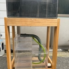 ⭐️アクリルオーバーフロー水槽取り引き中⭐️