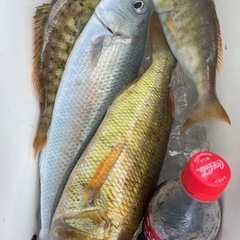 沖釣り仲間🐟募集❣️