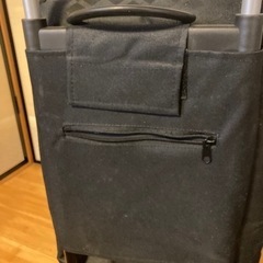 保冷保温ショッピングキャリーカートの画像