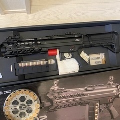 SGR12