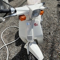 実動スズキ薔薇 バラ旧原付旧車 (maa) 番田のスズキの中古