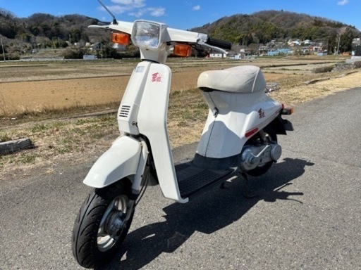 実動　スズキ　薔薇 バラ　旧原付　旧車