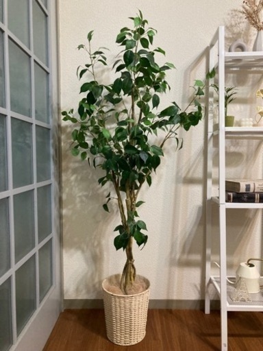 【受付終了】フェイク観葉植物