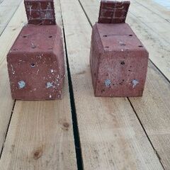 タコつぼの画像
