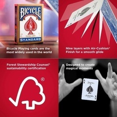 Bicycle Rider Back Standard Talia 赤の画像