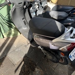 バイタリティ50の画像