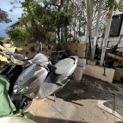 バイタリティ50の画像