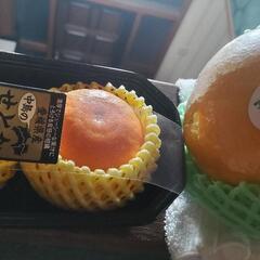 決まりました  みかん せとかとメロウゴールド