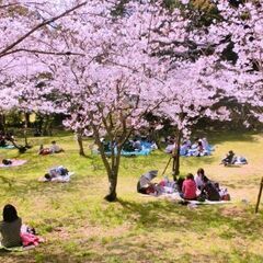 ⭐️自由につながることができる大人気のお花見⭐️