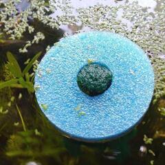 メダカ　産卵床（標準、足長）　※研磨剤未使用の画像