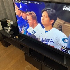 家電 テレビ 液晶テレビ