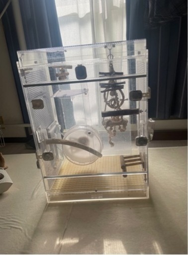 油絵(伊東正博 画家)