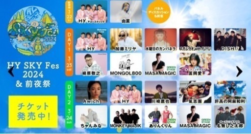 【定価以下】2024 HYスカイフェス チケット