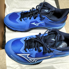 未使用　バトミントン　卓球　サイズ：25.5ｃｍ 3E　体育館　シューズの画像