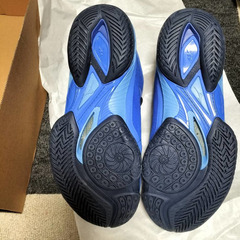 未使用　バトミントン　卓球　サイズ：25.5ｃｍ 3E　体育館　シューズの画像