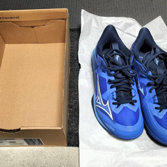 未使用　バトミントン　卓球　サイズ：25.5ｃｍ 3E　体育館　シューズの画像