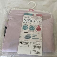 ☆GUNZE SELFEAR セルフェア ひびきにくい 吸水ショ...