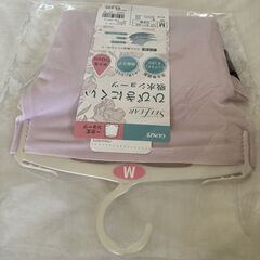 ☆GUNZE SELFEAR セルフェア ひびきにくい 吸水ショーツ Mサイズ スモークピンク◆スリム構造トリプルガードの画像