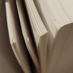 【値下げ】阪神電気鉄道百年史の画像