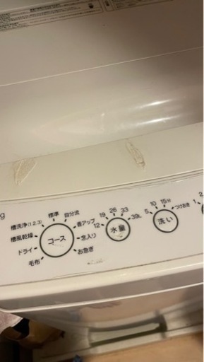 家電 生活家電 洗濯機