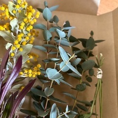 ドライフラワー　ミモザ　クリスマスローズ　ユーカリ　花材　ハンドメイド　ドドナエア　の画像