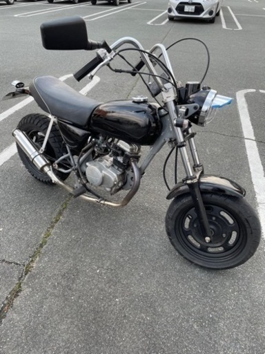 HONDA  エイプ50