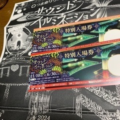 つま恋サウンドイルミネーション大人子供２枚